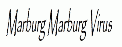 logo Marburg Marburg Virus